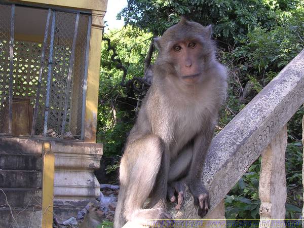 DSCN1261.JPG