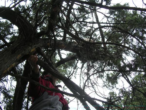 DSCN31961.JPG