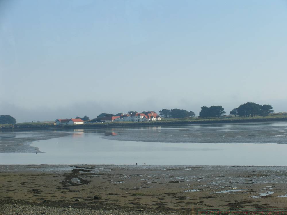 IMG_18231.JPG
