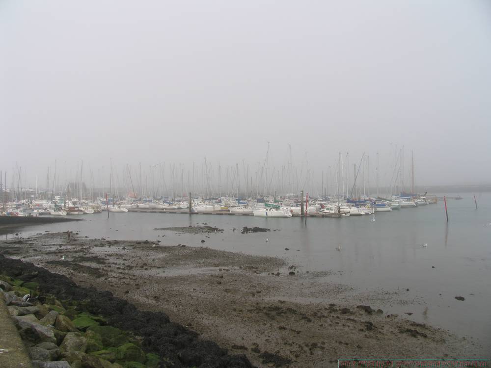 IMG_18378911.JPG