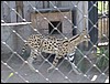 2005-08-krsn_198.jpg