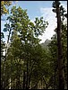 2005-08-krsn_253.jpg