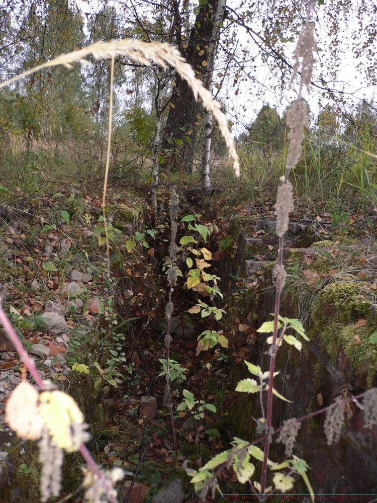 2005-09-alp_042.jpg