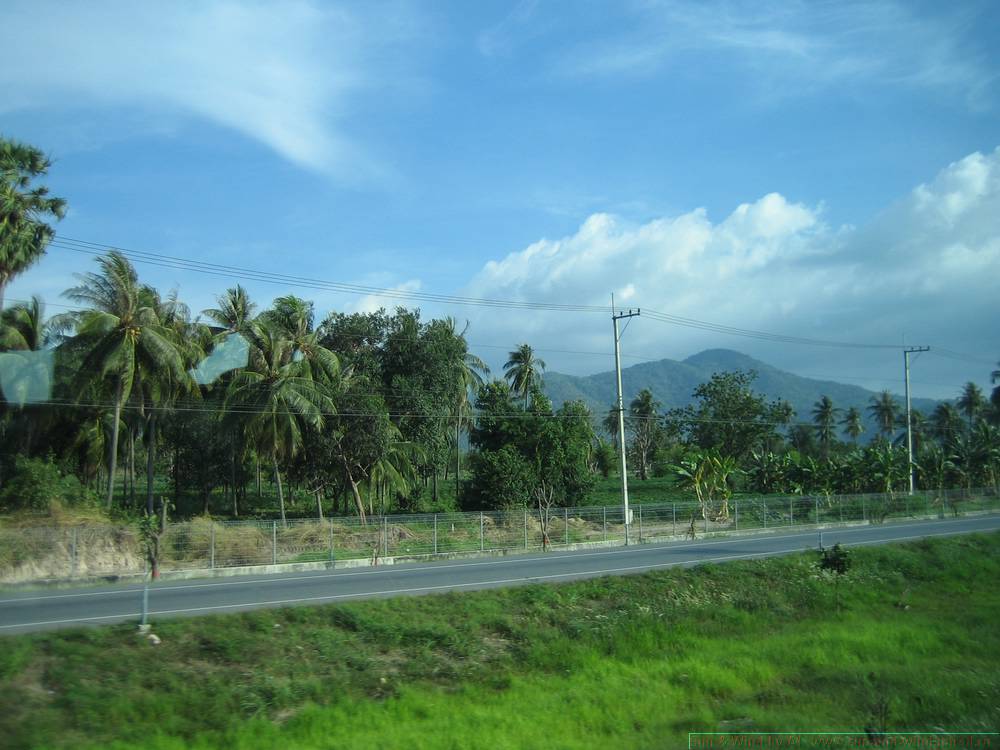 2006-03-thai_014.jpg