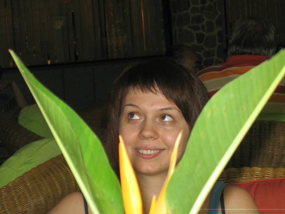 2006-03-thai_039.jpg