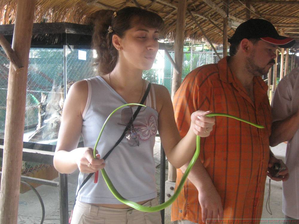 2006-03-thai_063.jpg