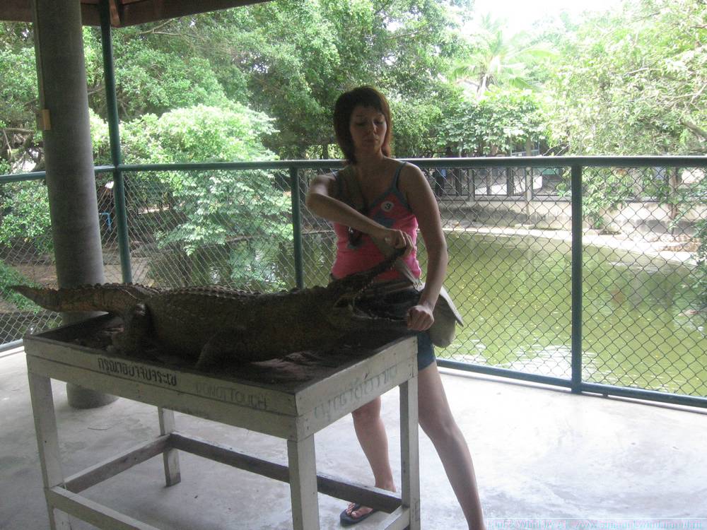 2006-03-thai_110.jpg