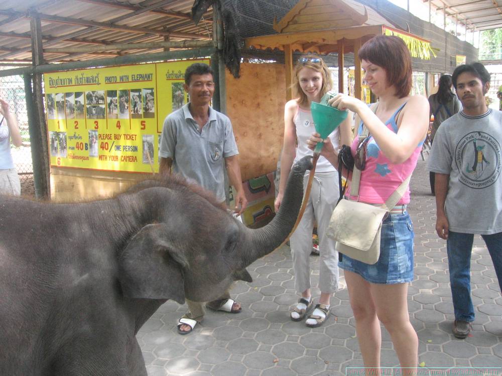 2006-03-thai_111.jpg