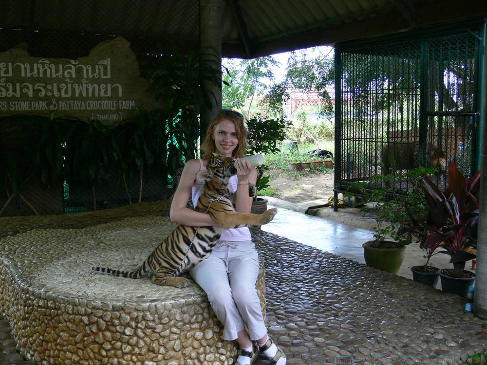 2006-03-thai_153.jpg