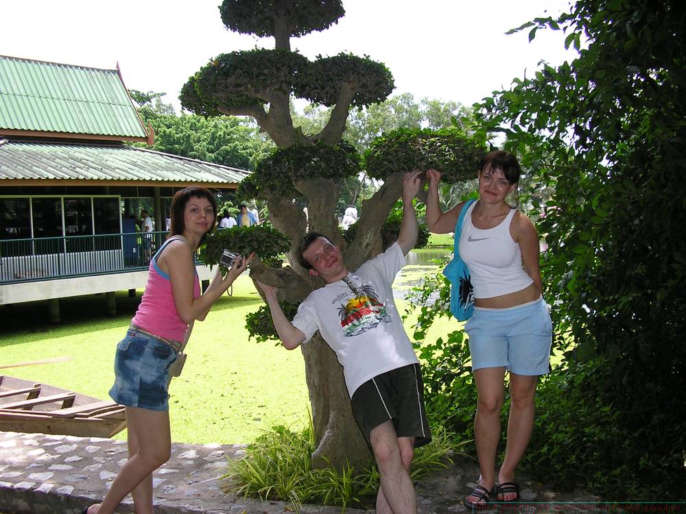 2006-03-thai_170.jpg