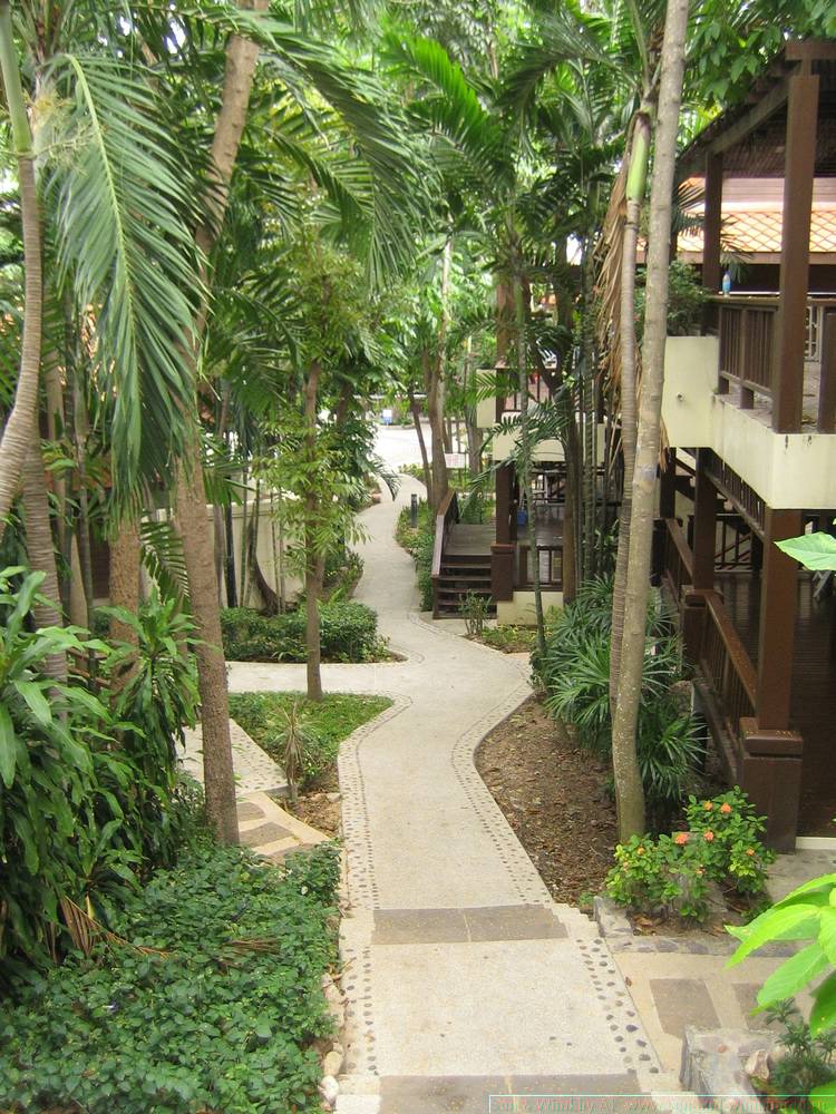 2006-03-thai_188.jpg