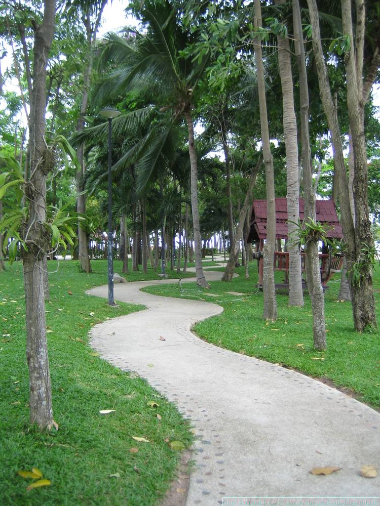 2006-03-thai_189.jpg