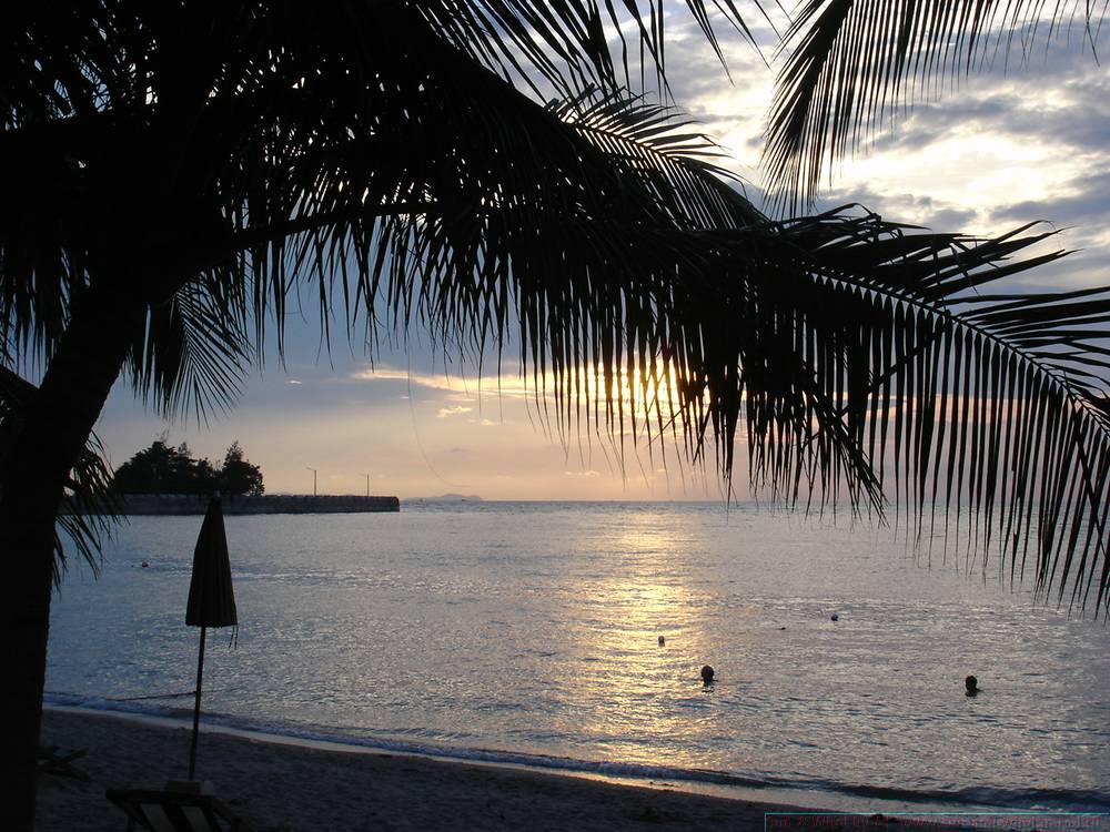 2006-03-thai_206.jpg