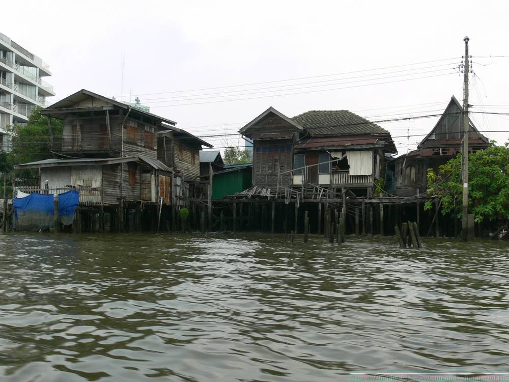 2006-03-thai_310.jpg