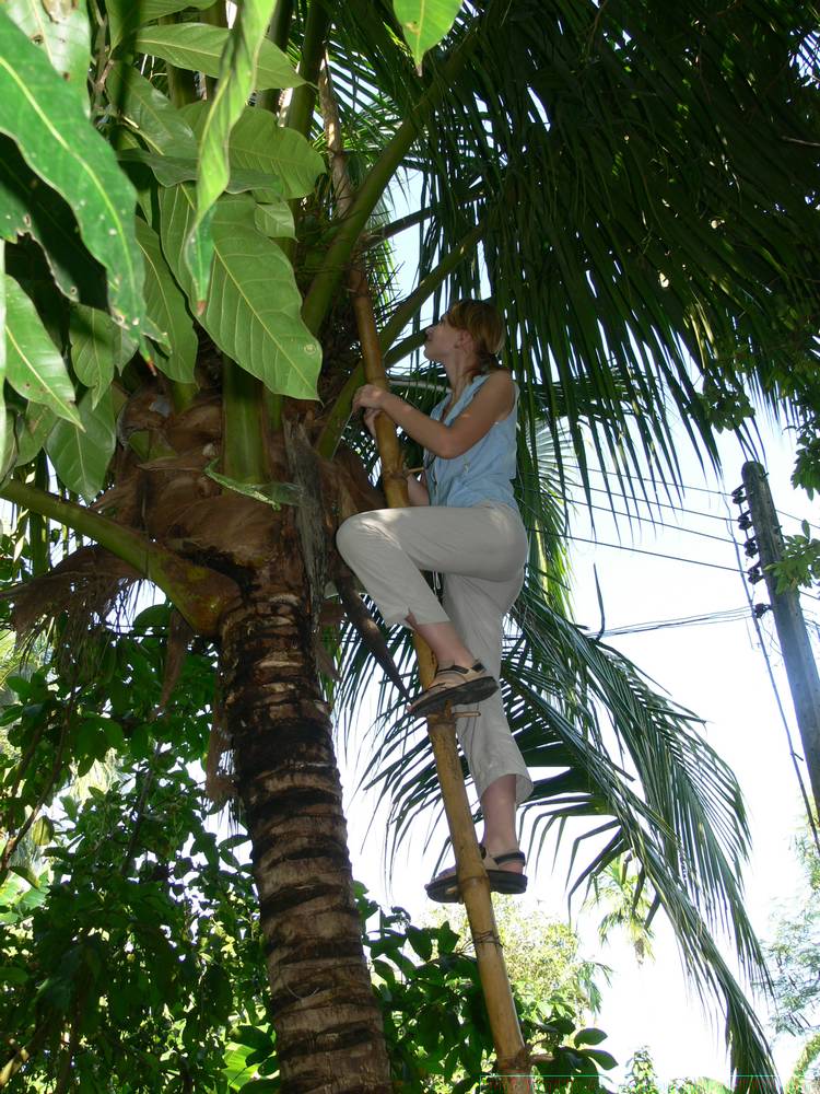 2006-03-thai_325.jpg
