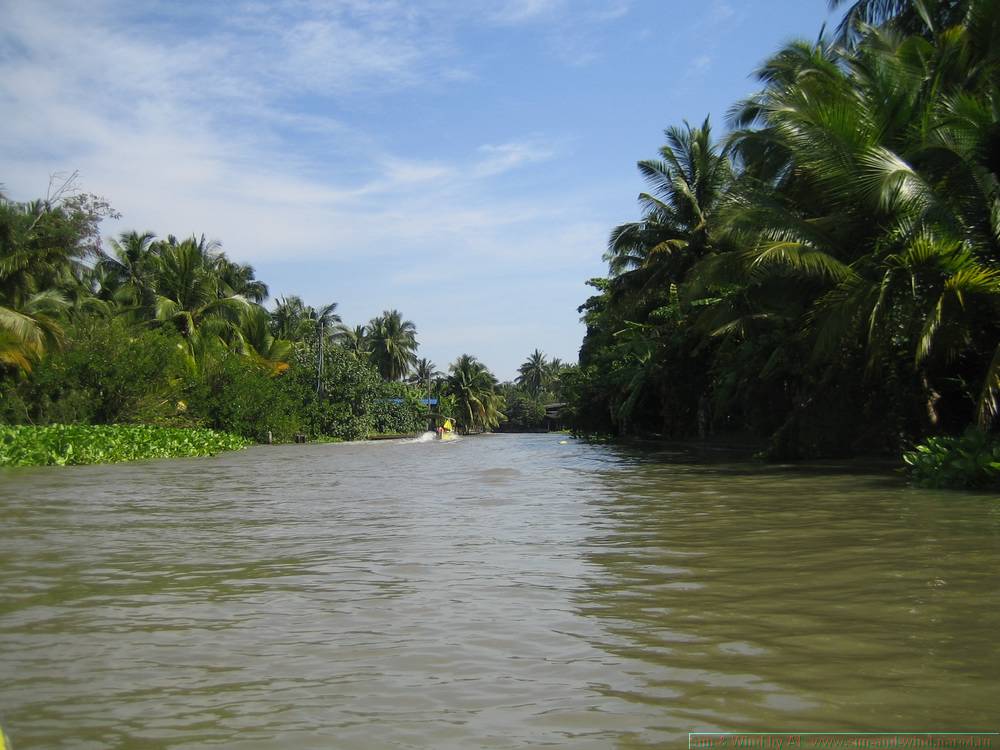 2006-03-thai_331.jpg