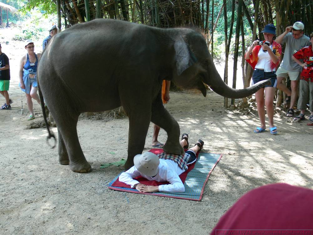 2006-03-thai_354.jpg