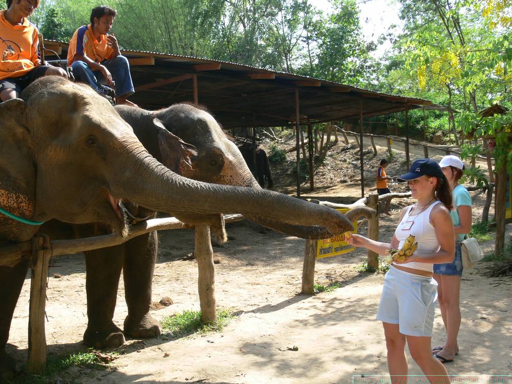 2006-03-thai_356.jpg