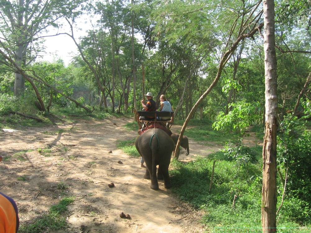 2006-03-thai_365.jpg