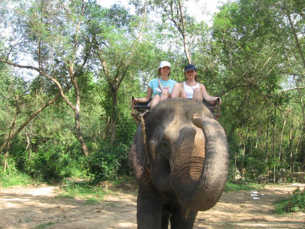 2006-03-thai_366.jpg