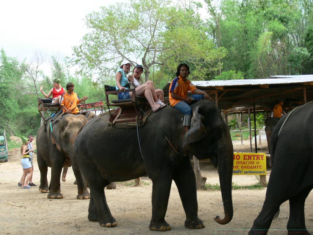 2006-03-thai_375.jpg