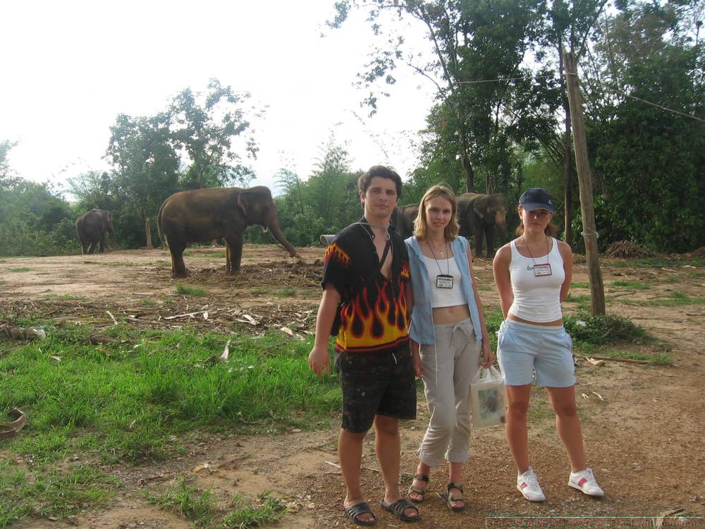2006-03-thai_377.jpg
