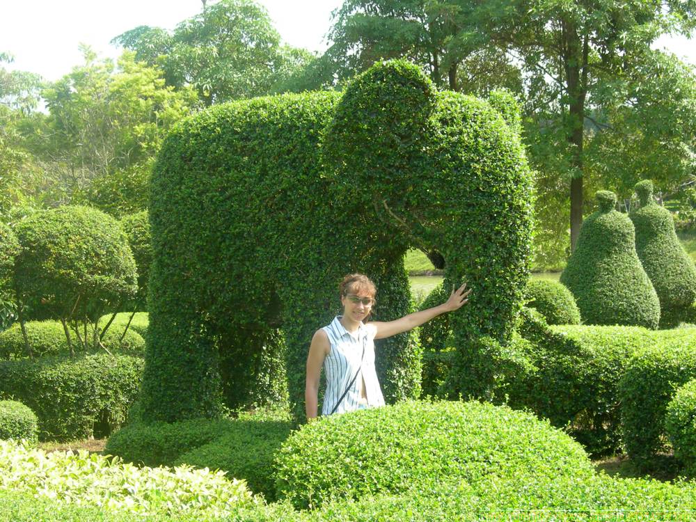 2006-03-thai_465.jpg