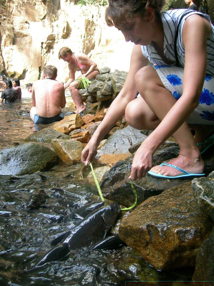 2006-03-thai_483.jpg