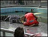 2006-03-thai_143.jpg