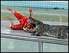 2006-03-thai_147.jpg