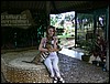 2006-03-thai_153.jpg