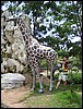 2006-03-thai_163.jpg