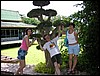 2006-03-thai_170.jpg