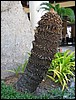 2006-03-thai_181.jpg