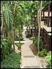 2006-03-thai_188.jpg