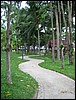 2006-03-thai_189.jpg