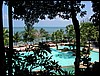2006-03-thai_200.jpg