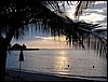 2006-03-thai_206.jpg