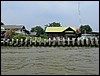 2006-03-thai_301.jpg