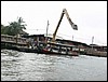 2006-03-thai_308.jpg