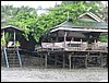2006-03-thai_318.jpg