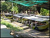 2006-03-thai_327.jpg