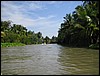 2006-03-thai_331.jpg