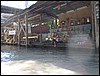 2006-03-thai_333.jpg