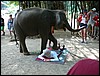 2006-03-thai_354.jpg