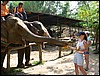 2006-03-thai_356.jpg