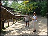 2006-03-thai_358.jpg