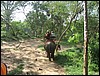 2006-03-thai_365.jpg