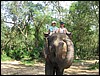 2006-03-thai_366.jpg