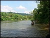 2006-03-thai_368.jpg
